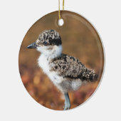 Baby Bird Keramisch Ornament (Links)
