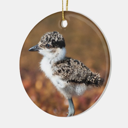 Baby Bird Keramisch Ornament (Links)