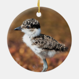 Baby Bird Keramisch Ornament