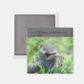 Baby Bird Kindness Quote Inspirerend Magnet (Voorkant / Achterkant)