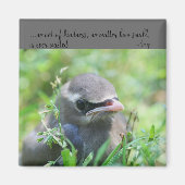 Baby Bird Kindness Quote Inspirerend Magnet (Voorkant)