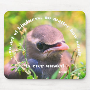 Baby Bird Kindness Quote Inspirerend Muismat