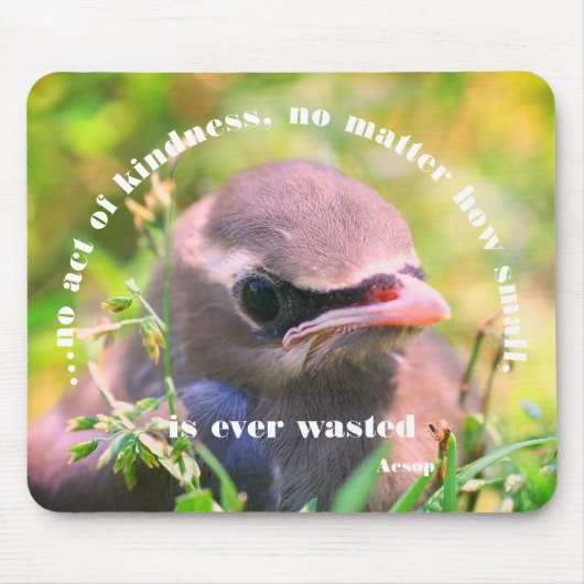 Baby Bird Kindness Quote Inspirerend Muismat (Voorkant)