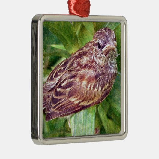 Baby Bird Metalen Ornament (Rechts)