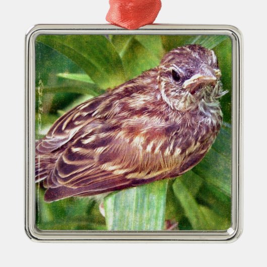 Baby Bird Metalen Ornament (Voorkant)