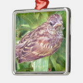 Baby Bird Metalen Ornament (Links)