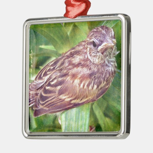 Baby Bird Metalen Ornament (Links)
