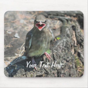 Baby Bird Natuur Fotografie Mousepad Muismat