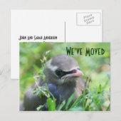 Baby Bird New Address Natuur Briefkaart (Voorkant / Achterkant)