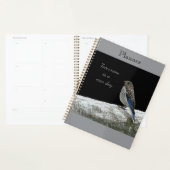 Baby Bird Planner (Display)