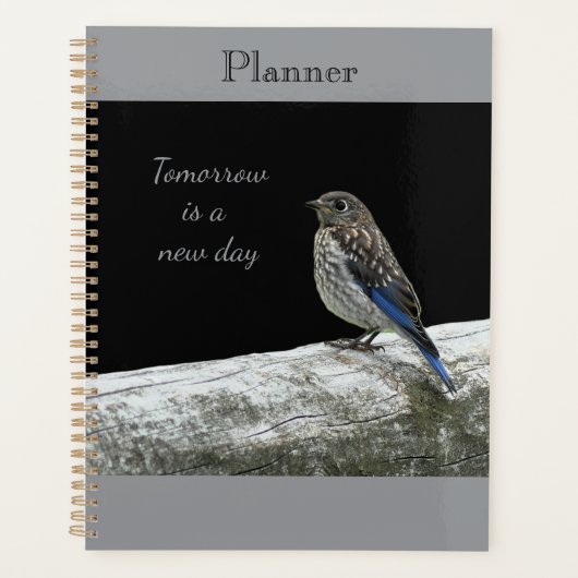 Baby Bird Planner (Voorkant)