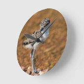 Baby Bird Ronde Klok (Hoek)