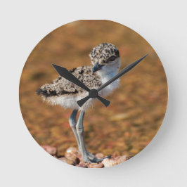Baby Bird Ronde Klok