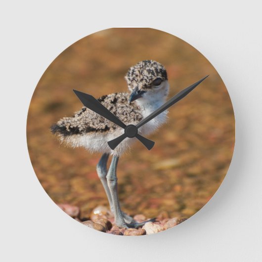 Baby Bird Ronde Klok (Voorkant)