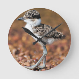 Baby Bird Ronde Klok