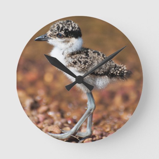 Baby Bird Ronde Klok (Voorkant)