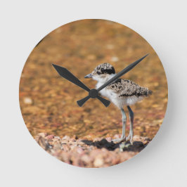 Baby Bird Ronde Klok