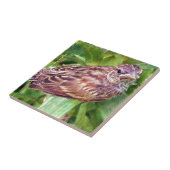 Baby Bird Tegeltje (Zijkant)