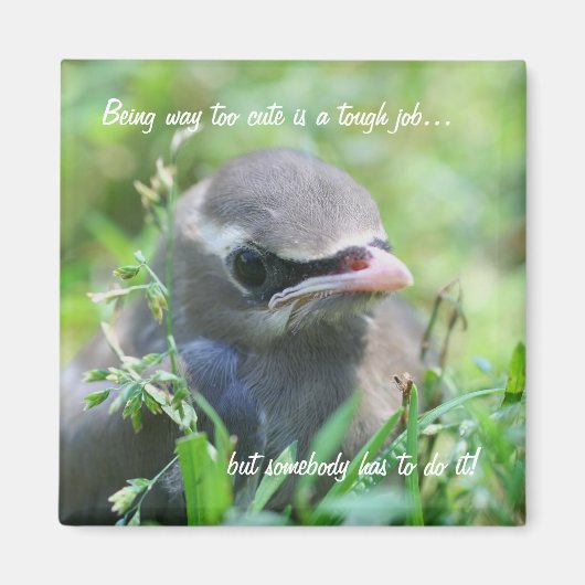 Baby Bird too Cute Funny Natuur Magnet (Voorkant)