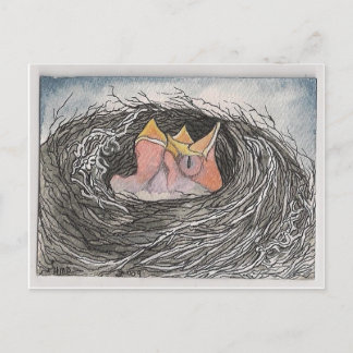 baby Birds Briefkaart
