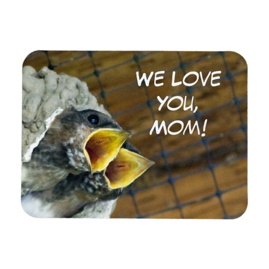 Baby Birds Premium Magnet Magneet (Horizontaal)