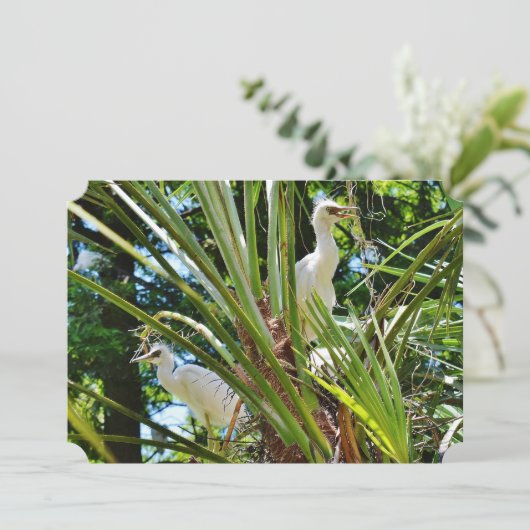 Baby Birrds Kaart (Staand voorkant)