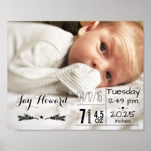 Baby Birth Stats Birth Record Keepomwille Foto Poster