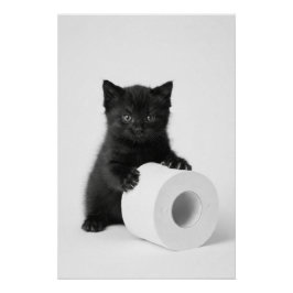 Baby Black Kitten Guarding Toilet Paper Roll On Perfect Poster