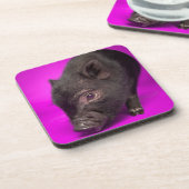 Baby Black Pig Bier Onderzetter (Linkerzijde)