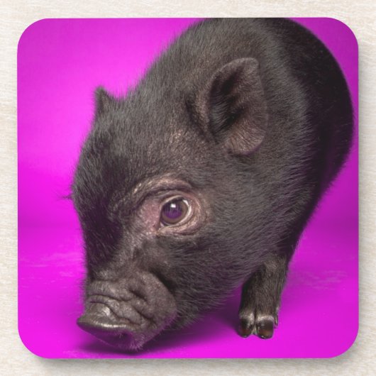 Baby Black Pig Bier Onderzetter (Voorkant)