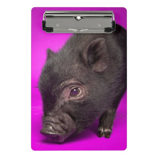 Baby Black Pig Mini Klembord (Voorkant)
