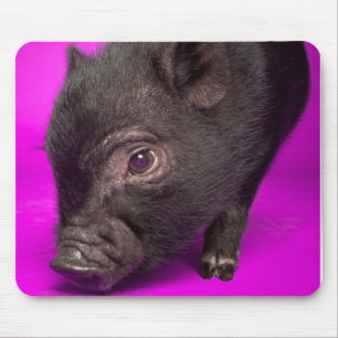 Baby Black Pig Muismat
