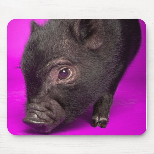 Baby Black Pig Muismat (Voorkant)