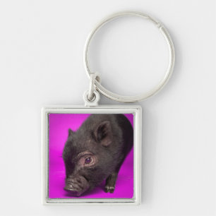 Baby Black Pig Sleutelhanger