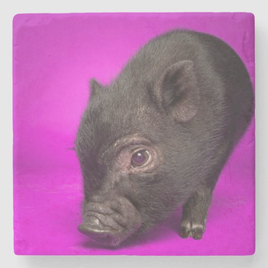 Baby Black Pig Stenen Onderzetter (Voorkant)