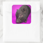 Baby Black Pig Vierkante Sticker (Tas)
