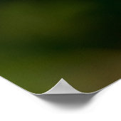 Baby Blue Eye Wilde Poster (Hoek)