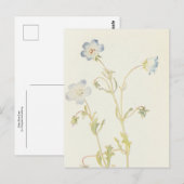 Baby Blue-Eyes van Margaret Armstrong Briefkaart (Voorkant / Achterkant)