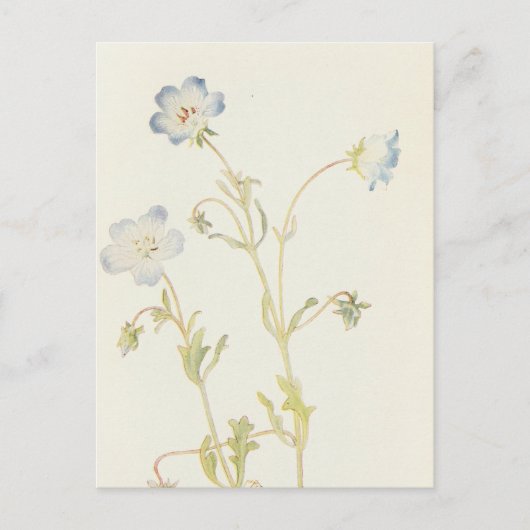 Baby Blue-Eyes van Margaret Armstrong Briefkaart (Voorkant)