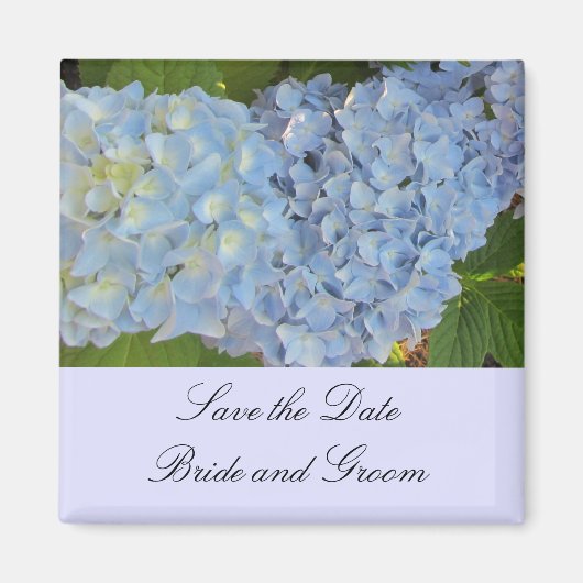 Baby Blue Hortensia's Magneet (Voorkant)