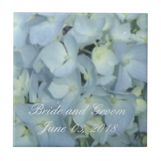 Baby Blue Hortensia's Tegeltje (Voorkant)
