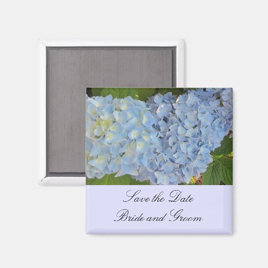 Baby Blue Hydrangeas Magneet (Voorkant / Achterkant)