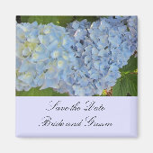Baby Blue Hydrangeas Magneet (Voorkant)