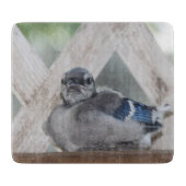 Baby Blue Jay Cutting Board Snijplank (Voorkant)