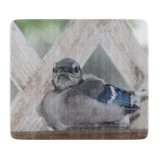 Baby Blue Jay Cutting Board Snijplank (Voorkant)