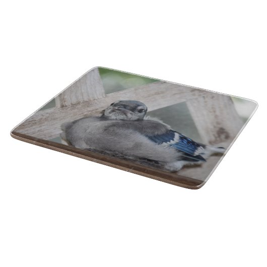 Baby Blue Jay Cutting Board Snijplank (Hoek)