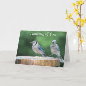 Baby Blue Jay Kaart (Gele Bloem)