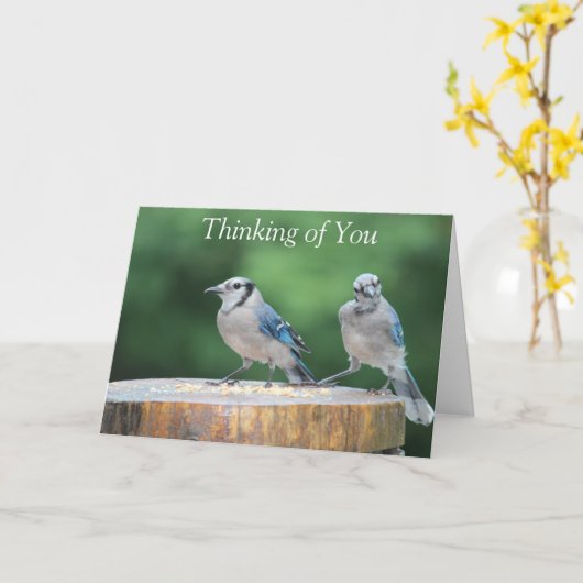 Baby Blue Jay Kaart (Gele Bloem)