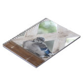 Baby Blue Jay Notitieboek (Linkerzijde)