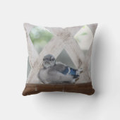 Baby Blue Jay Pillow Kussen (Achterkant)